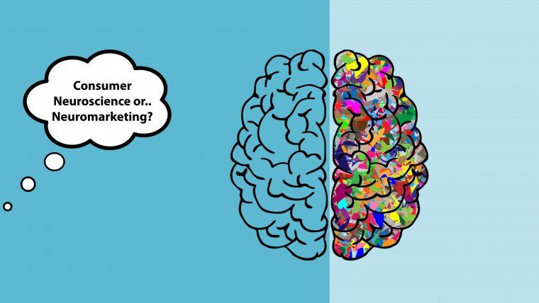 Consumer Neuroscience or Neuromarketing: Is There Actually Any Difference? 